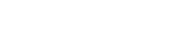 Bridgist